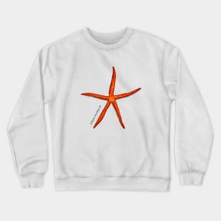 Velvety Sea Star Crewneck Sweatshirt